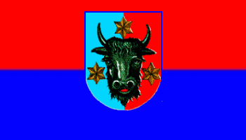 bukovinianflag.gif