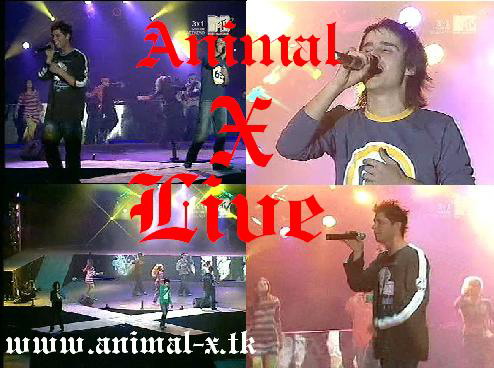 animalxlive.jpg