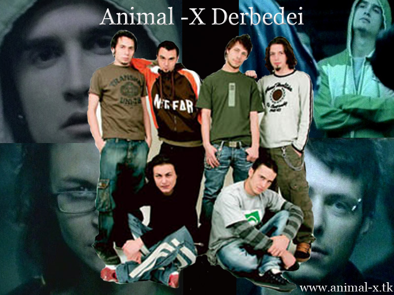 animal x wlpr 2.jpg