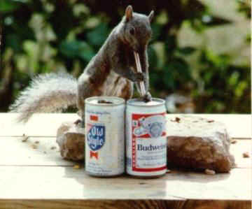 squirrel%20beer[1].jpg