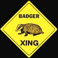 badger[1].jpg