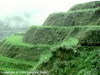 Avatar utilizator