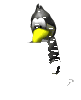 Avatar utilizator