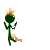 Avatar utilizator