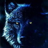 Avatar utilizator