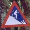Avatar utilizator