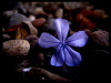 Avatar utilizator