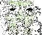 Avatar utilizator