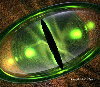 Avatar utilizator