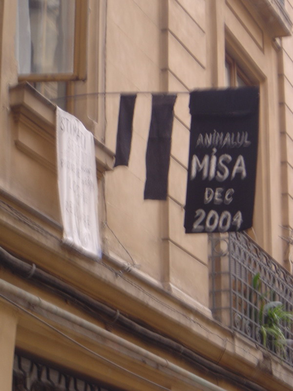MISA.jpg