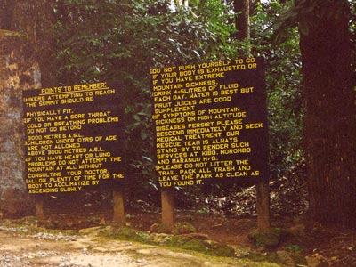 kili4.jpg