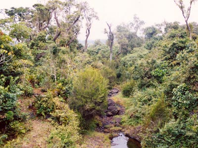 kili5.jpg