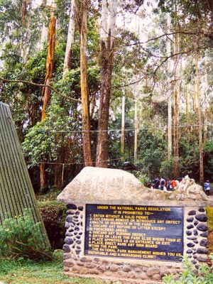 kili6.jpg