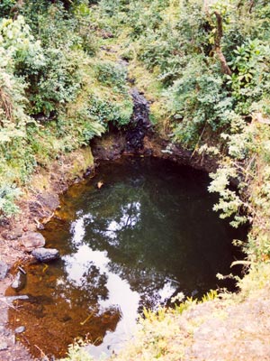 kili8.jpg