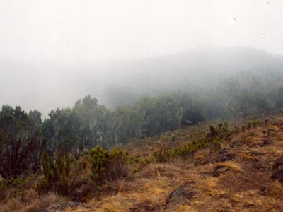 kili9.jpg