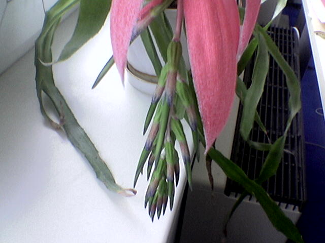 Image020.jpg