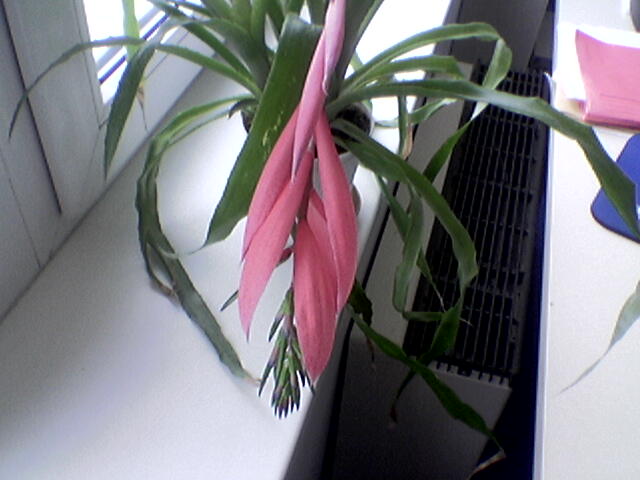 Image021.jpg