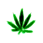 canabis%20gif.gif