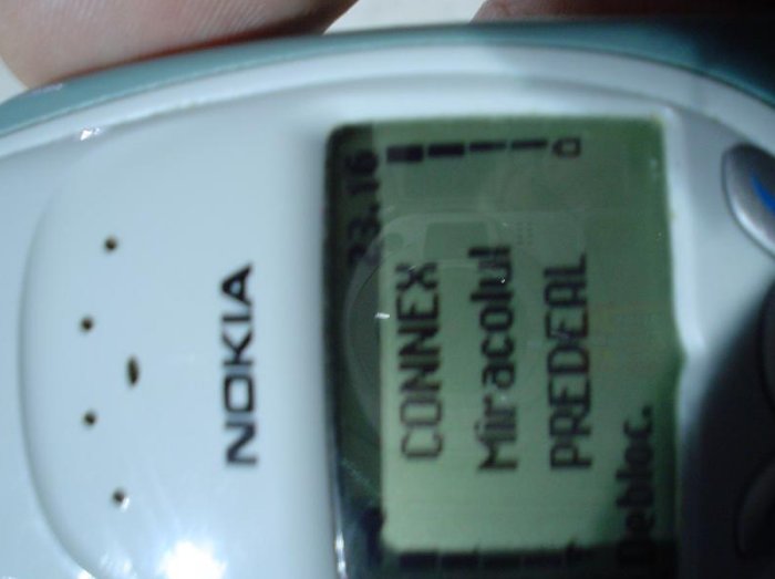 poza3.jpg