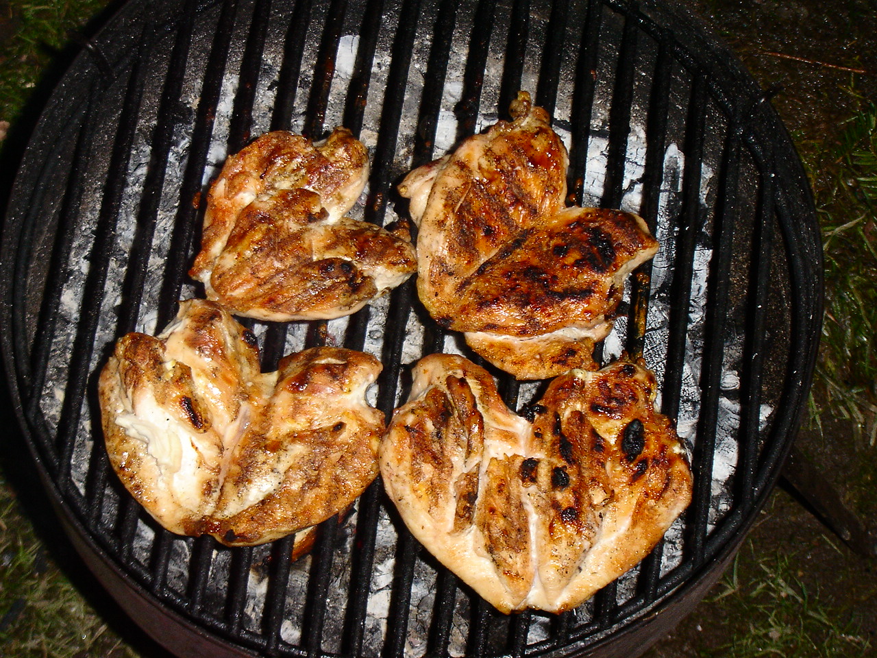 DSC00379.JPG