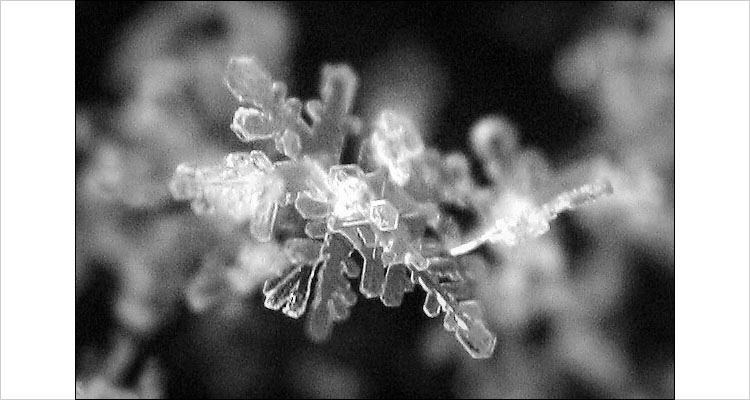 snow_flake_incomplete.jpg