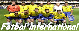 fotbal_international_baner.gif