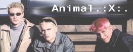 logo_animalx.jpg