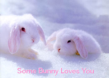 Bunny.jpg