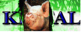 miki.gif