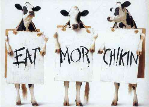eat-mor-chikin.jpg