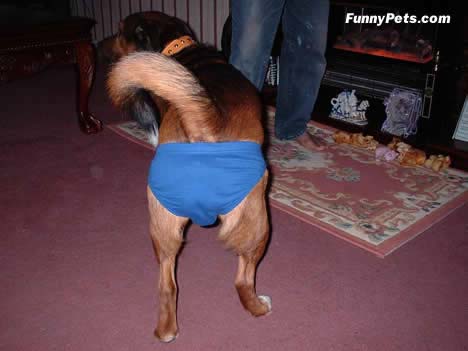 benson2.jpg
