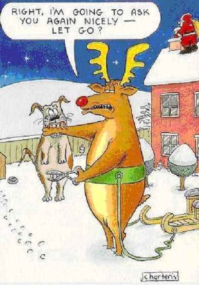 deer.jpg
