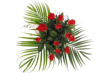 pentru persoanele de sex feminin de pe forum.jpg