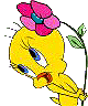 144210349341752b383167d.gif
