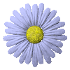 10783.gif