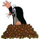 Maulwurf102.gif