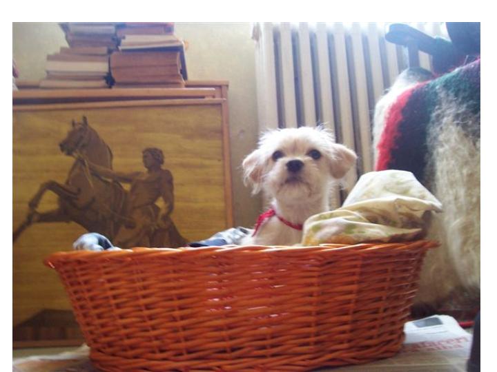 boris.jpg