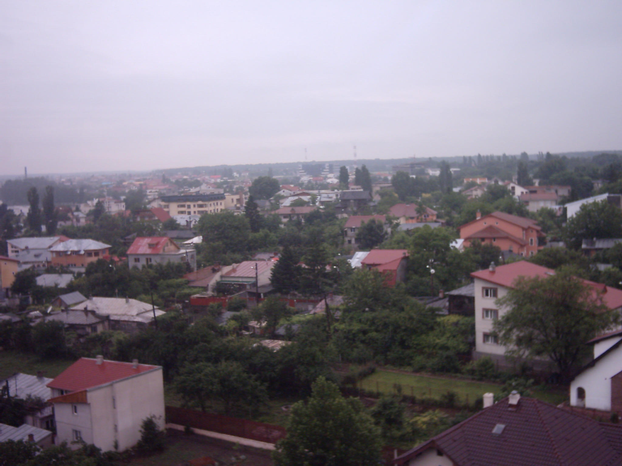 IMG_0003.JPG