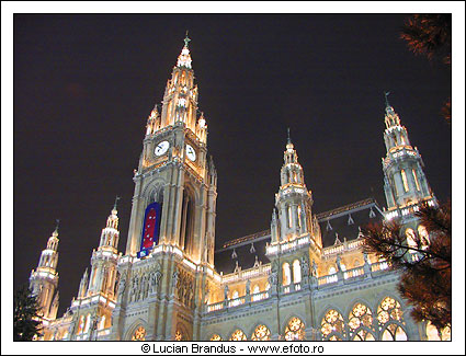 viena1.jpg