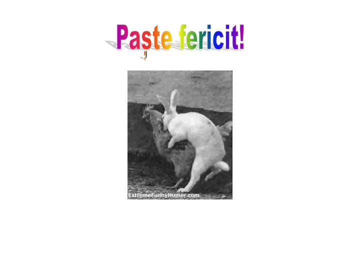 paste fericit.jpg