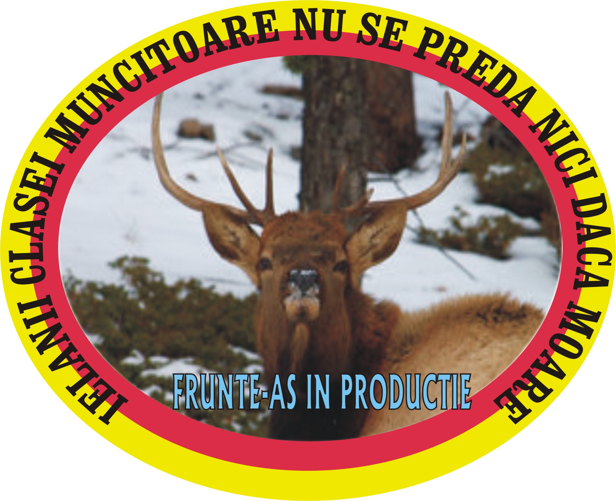 icsicna.jpg