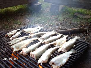 IMG_0229.JPG