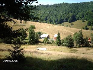IMG_0218.JPG