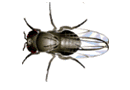 m_image2.gif