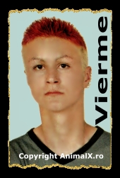 vierme.jpg