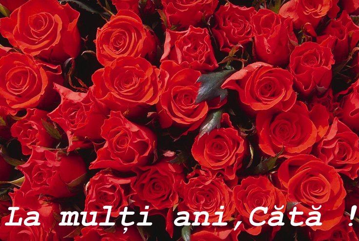 la multi ani cata.jpg