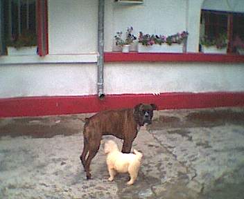 pict0049.jpg
