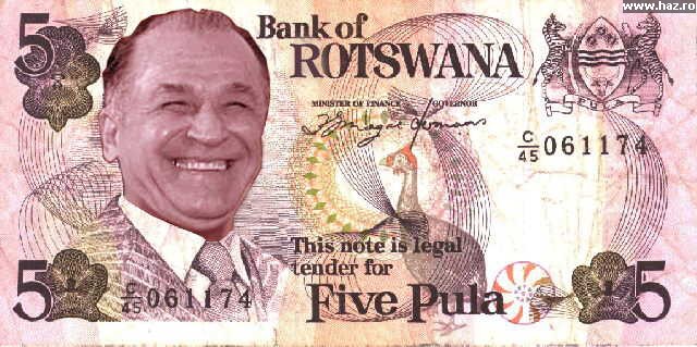 iliescu.jpg