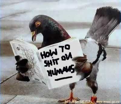 how_to_shit_on_humans.jpg