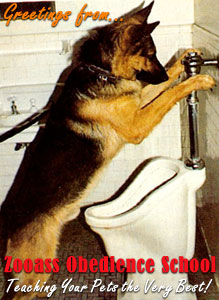 dogpee.jpg